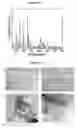 Fig. 08 - CATHODE MATERIALS CONTAINING OLIVINE STRUCTURED NANOCOMPOSITES