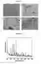 Fig. 09 - CATHODE MATERIALS CONTAINING OLIVINE STRUCTURED NANOCOMPOSITES