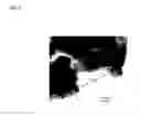 Fig. 09 - Dual conductor surface modified SOFC cathode particles and methods of making same