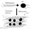 Fig. 01 - Systems and methods of graphene supported catalysts