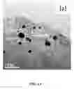 Fig. 07 - Systems and methods of graphene supported catalysts