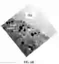 Fig. 08 - Systems and methods of graphene supported catalysts