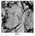 Fig. 13 - Systems and methods of graphene supported catalysts
