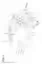 Fig. 02 - CONNECTOR