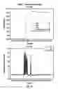 Fig. 22 - Real-time annulus pressure while drilling for formation integrity test