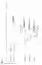 Fig. 12 - WDM/TDM-PON system and transmission start time correction method thereof