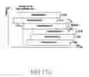 Fig. 19 - Method and apparatus for multi-user reception in wireless communication system