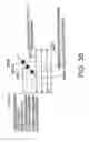 Fig. 33 - RADIO COMMUNICATION APPARATUS CAPABLE OF SWITCHING MODULATION SCHEMES