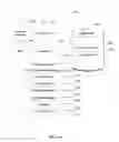 Fig. 18 - DIGITAL CONTENT DELIVERY