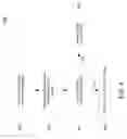 Fig. 05 - Dynamic Assignment of Phone Numbers for Call Forwarding