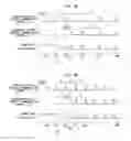 Fig. 09 - Image processing device, image processing system and non-transitory readable recording medium