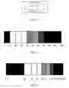 Fig. 03 - METHOD FOR REALIZING PHOTOGRAPHING EFFECT OF A DISTORTING MIRROR AND ELECTRONIC DEVICE