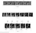 Fig. 07 - System and method for spectral imaging