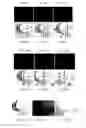 Fig. 09 - System and method for spectral imaging