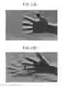 Fig. 12 - Charge modulation element and solid-state imaging device