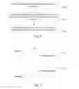 Fig. 02 - Method and Electronic Device for Screen Projection
