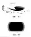Fig. 20 - METHOD AND APPARATUS TO DISPLAY STEREOSCOPIC IMAGE IN 3D DISPLAY SYSTEM