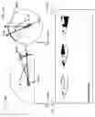 Fig. 23 - SYSTEM FOR DISPLAYING AN IMAGE FOR A HEAD MOUNTED DISPLAY