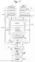 Fig. 06 - Collaborative sighting