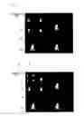 Fig. 07 - Image processing system and image processing method
