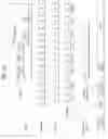 Fig. 11 - Broadcasting signal transmission device, broadcasting signal reception device, broadcasting signal transmission method, and broadcasting signal reception method