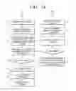 Fig. 16 - Content processing apparatus, content processing method thereof, server information providing method of server and information providing system