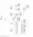 Fig. 12 - Apparatus and method for multicasting emergency alert message in broadcast signal to companion device