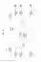 Fig. 16 - Apparatus and method for multicasting emergency alert message in broadcast signal to companion device