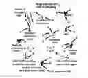 Fig. 01 - Interference and mobility management in UAV-assisted wireless networks