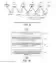 Fig. 06 - Control-less data transmission for narrow band internet of things