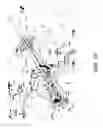 Fig. 23 - Avoidance of interference in wireless communications