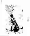 Fig. 25 - Avoidance of interference in wireless communications