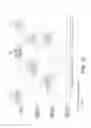 Fig. 13 - Wireless communication device