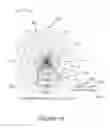 Fig. 19 - LED LIGHTING METHODS AND APPARATUS