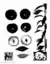 Fig. 01 - Plum tree named 'Blackred XXI'