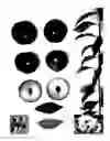 Fig. 02 - Plum tree named 'Blackred XXI'
