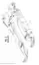 Fig. 05 - System and method for converting cutting and gathering system of a corn head