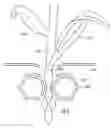 Fig. 01 - Stalk roll