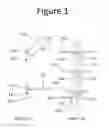 Fig. 02 - Plant Support Apparatus