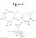 Fig. 04 - Plant Support Apparatus