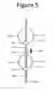 Fig. 06 - Plant Support Apparatus