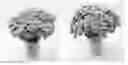 Fig. 01 - Bouquet of cut flowers