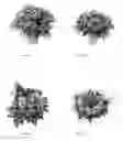 Fig. 02 - Bouquet of cut flowers
