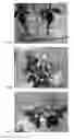 Fig. 05 - Bouquet of cut flowers