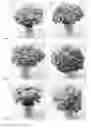 Fig. 08 - Bouquet of cut flowers