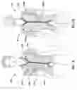 Fig. 02 - Garment having interchangeable portions