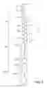 Fig. 08 - Article of footwear having a sole structure with a fluid-filled chamber