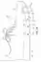 Fig. 21 - Article of footwear having a sole structure with a fluid-filled chamber