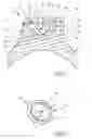 Fig. 02 - Object having a movable jewelry element
