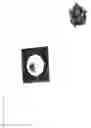 Fig. 10 - Object having a movable jewelry element